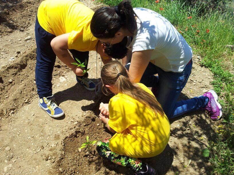 Agriturismo La Palombara Paola Dış mekan fotoğraf
